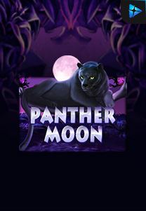 Bocoran RTP Panther Moon di Shibatoto Generator RTP Terbaik dan Terlengkap