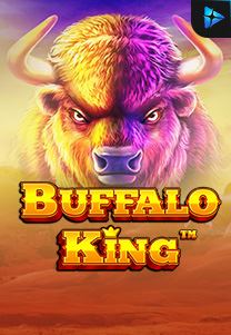 Buffalo King